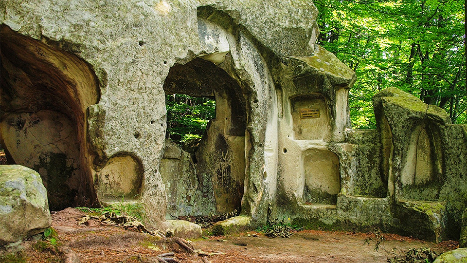 Vestigiile Rupestre de la Nucu