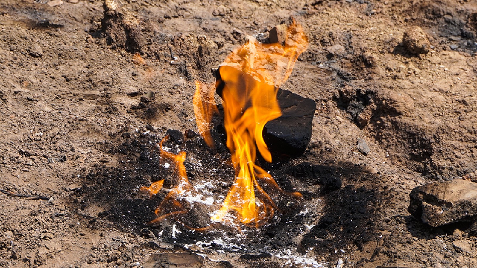 Focul Viu de la Terca