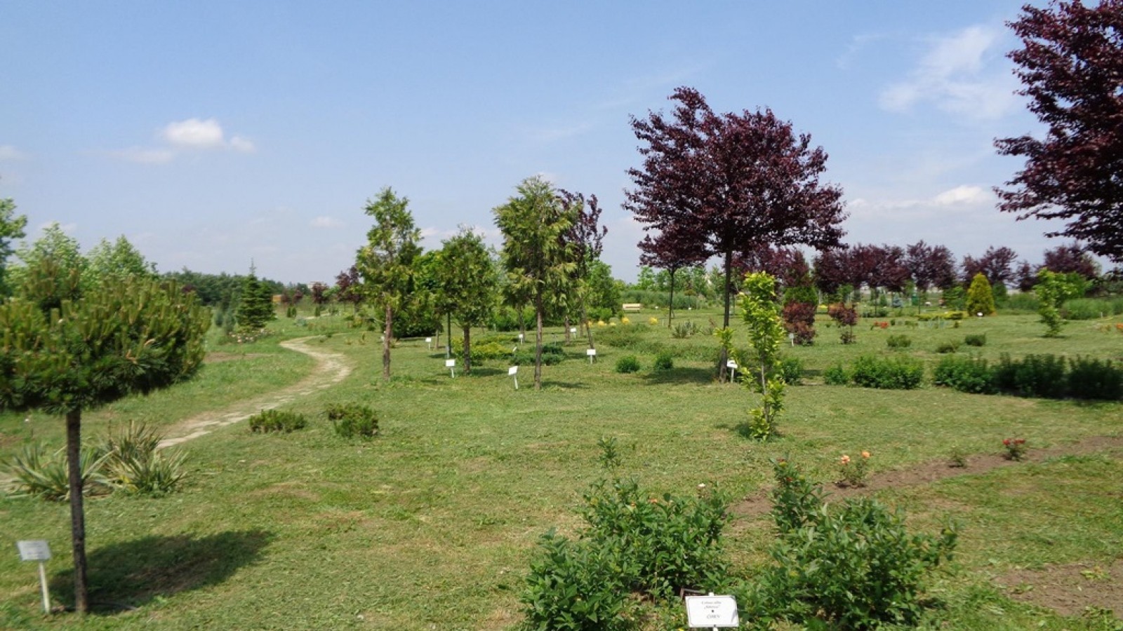 Gradina Botanica Bucov