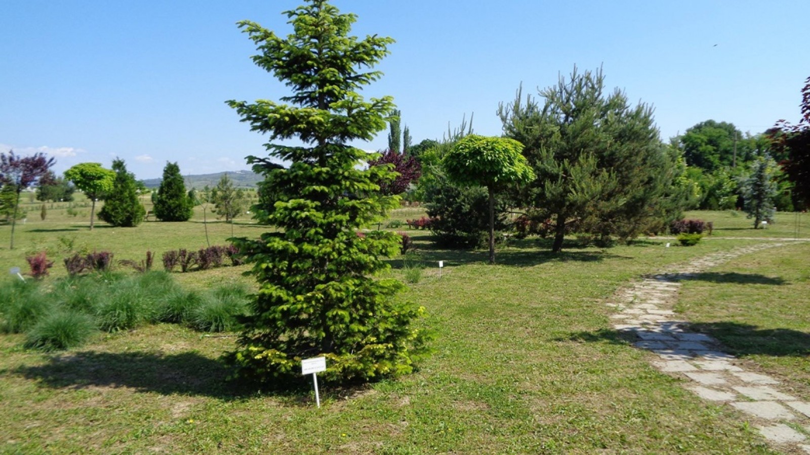 Gradina Botanica Bucov